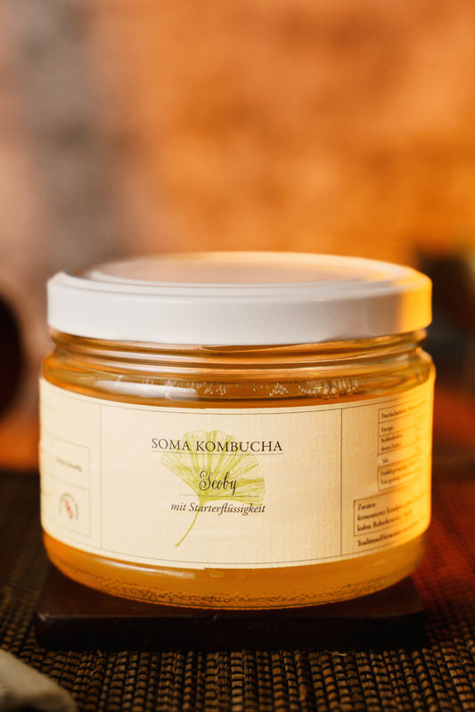 Soma Kombucha - Scoby mit Starterflüssigkeit 300ml